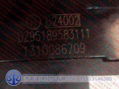 DZ95189583111,,济南颂坤经贸有限公司