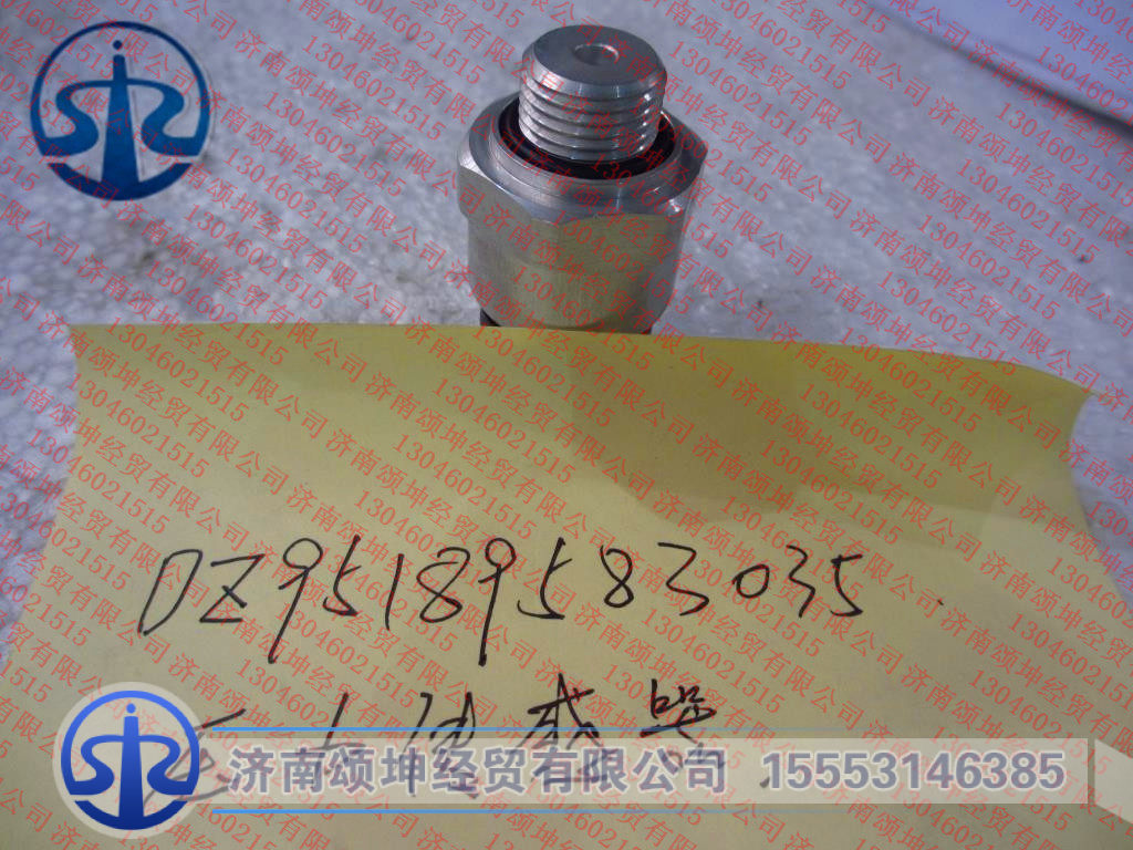 DZ95189583035,,济南颂坤经贸有限公司