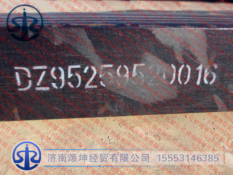 前鋼板總成/DZ95259520016