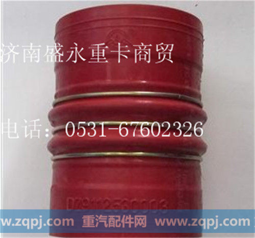 DZ9112530003 ,,济南盛永重型配件销售部