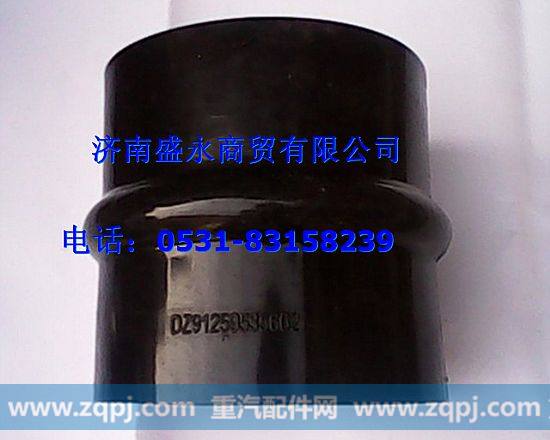 DZ91259535602 ,,济南盛永重型配件销售部