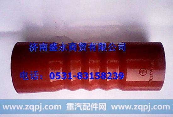 DZ93259535205 ,,济南盛永重型配件销售部