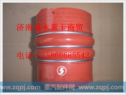 DZ91259535601 ,,济南盛永重型配件销售部