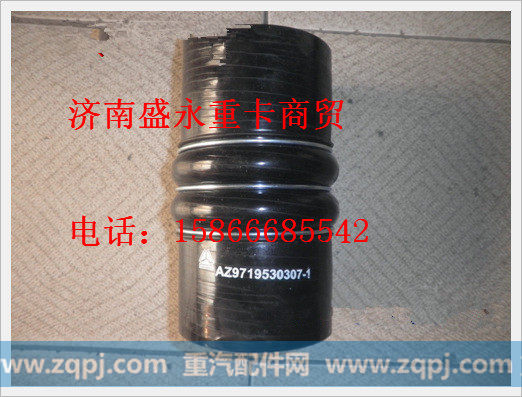 WG9719530307 ,,济南盛永重型配件销售部