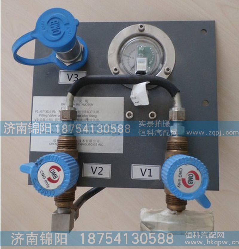 WG9725550501,重汽天然气发动机集成控制总成（CNG供气系统）,济南锦阳汽配有限公司（原腾达）