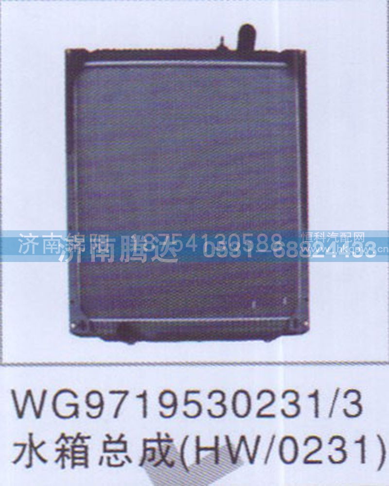 WG9719530231-3水箱总成HW0231