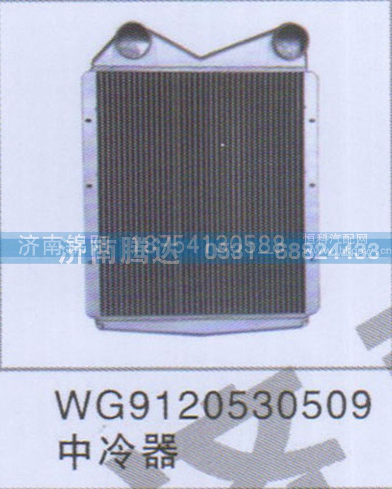 WG9120530509中冷器