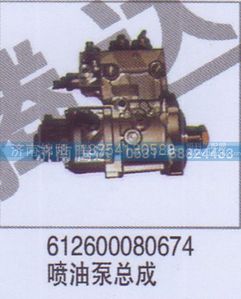 612600080674喷油泵总成