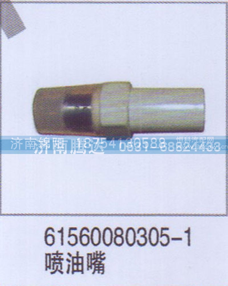 61560080305-1喷油嘴