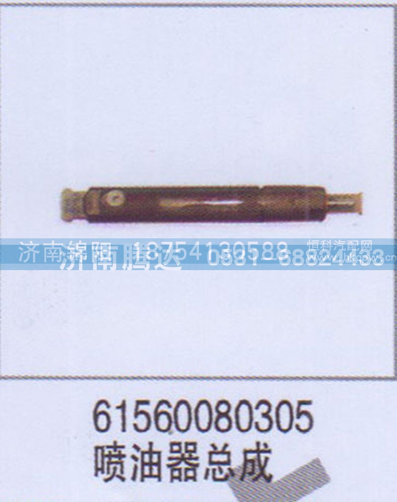 61560080305喷油器总成