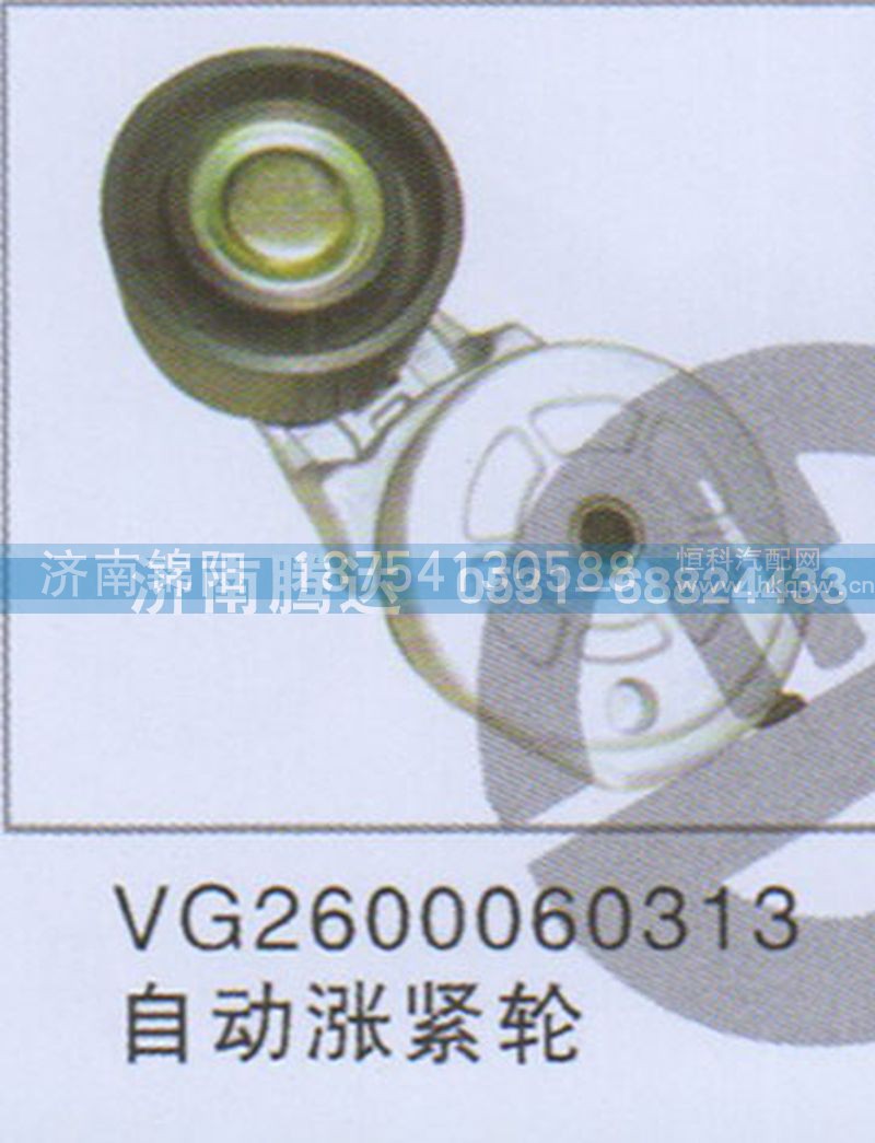 VG2600060313自动涨紧轮
