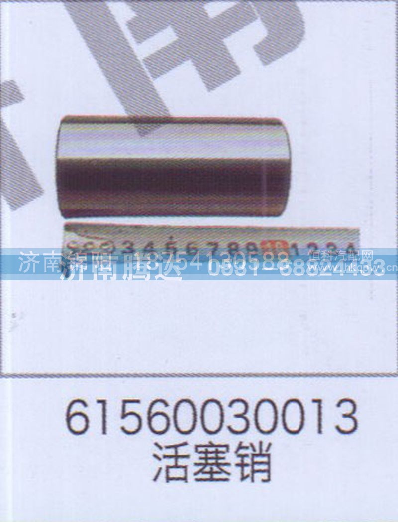 61560030013活塞销