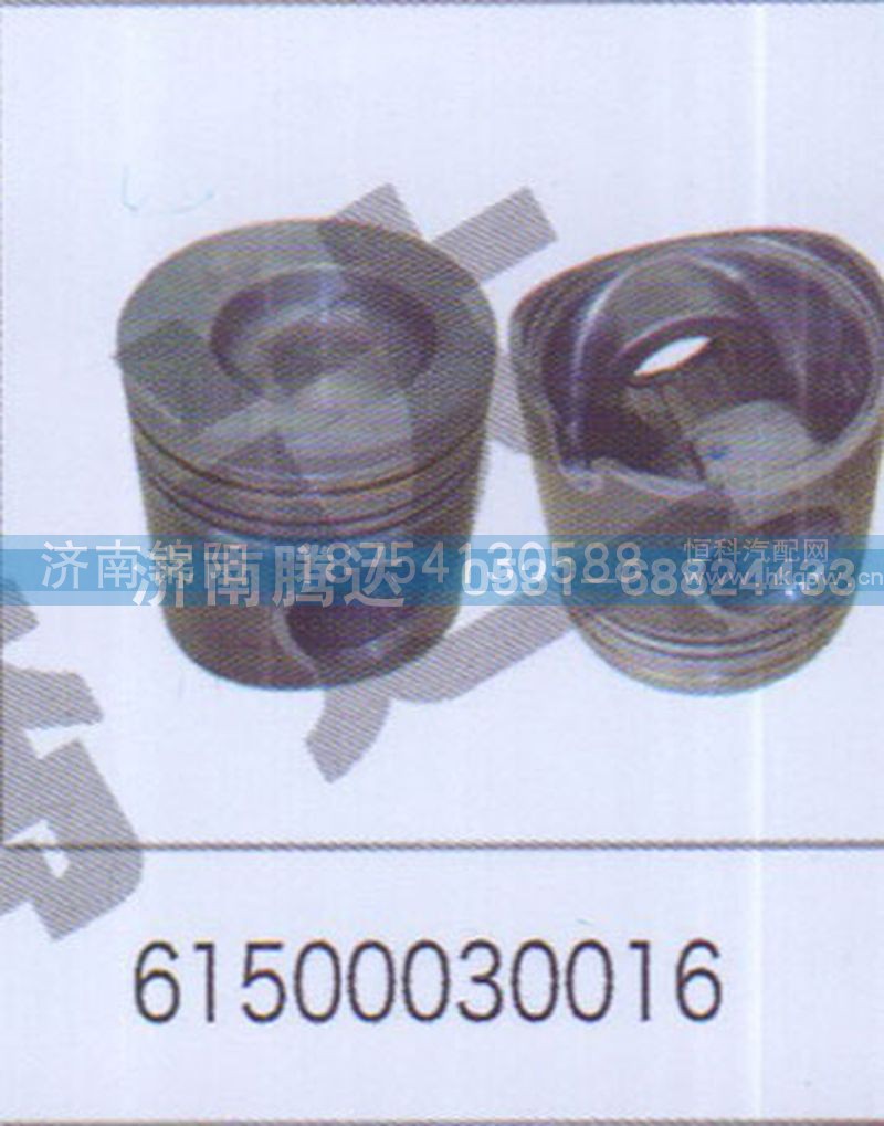 61500030016 