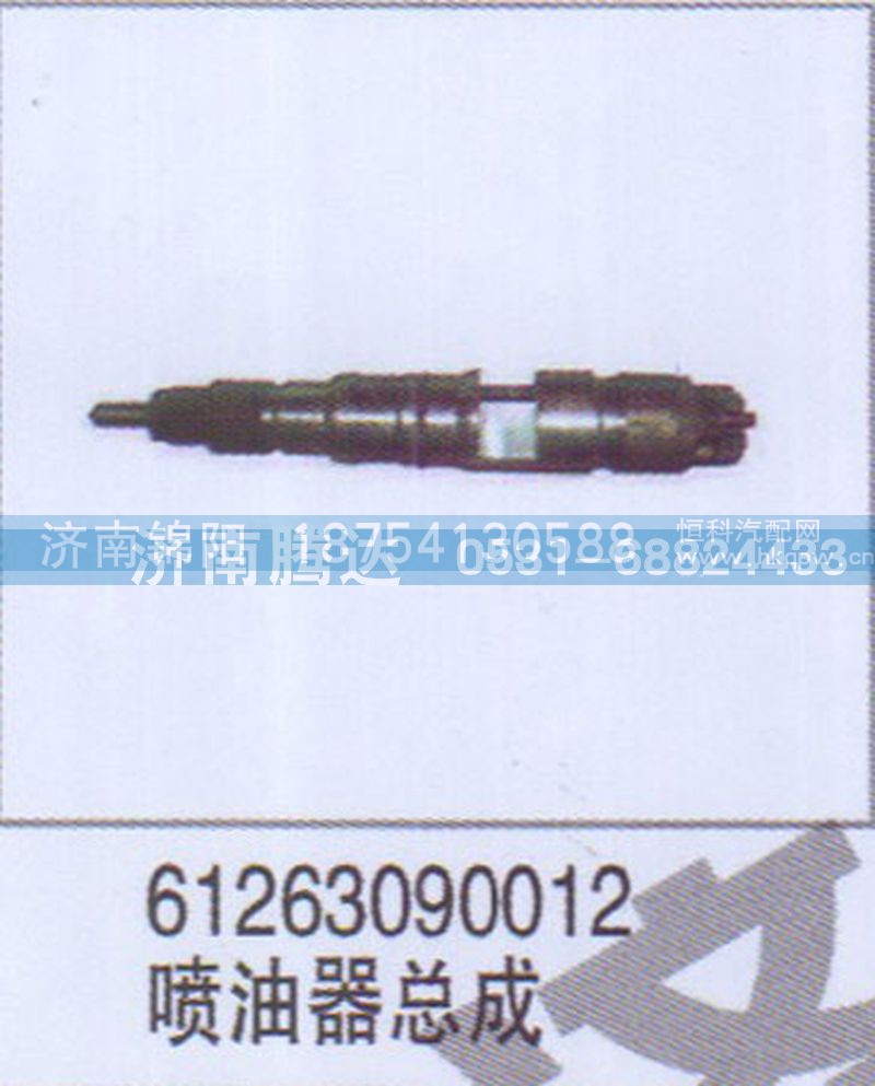 61263090012喷油器总成