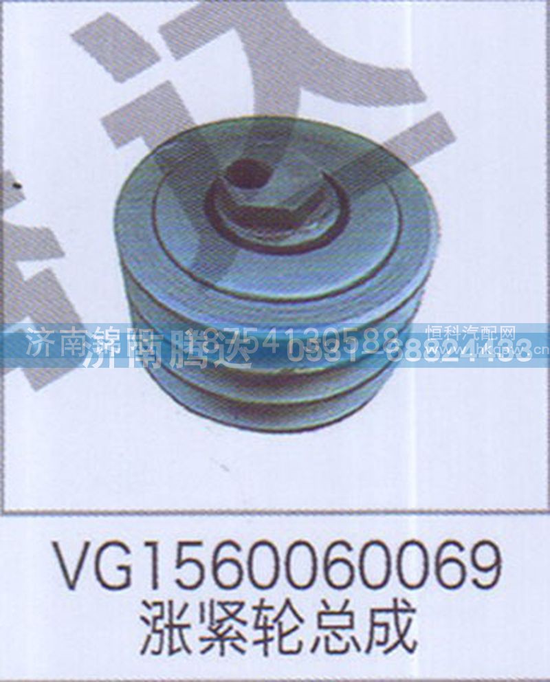 VG1560060069涨紧轮总成
