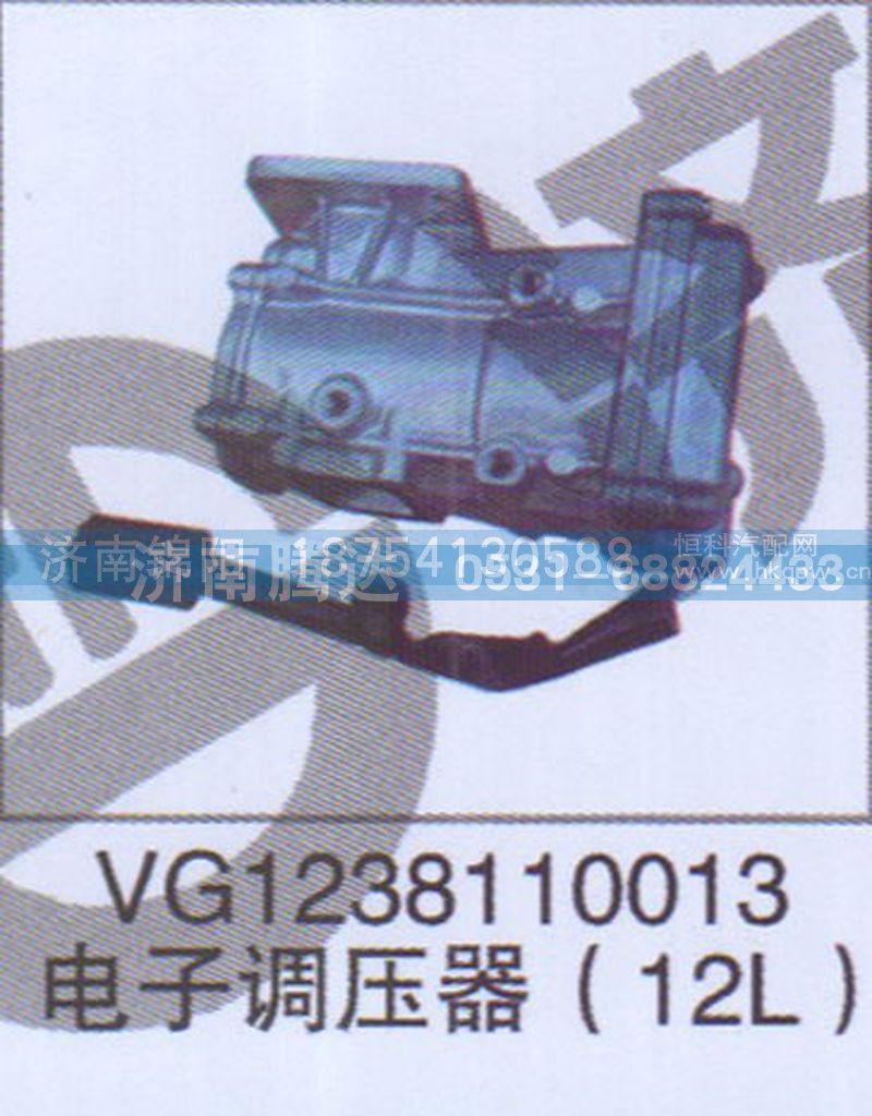 VG1238110013电子调压器12L