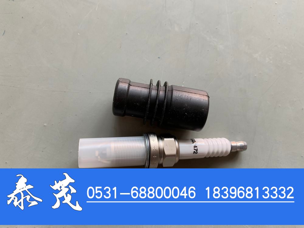 4955850,康明斯火花塞,山东泰茂汽车配件有限公司