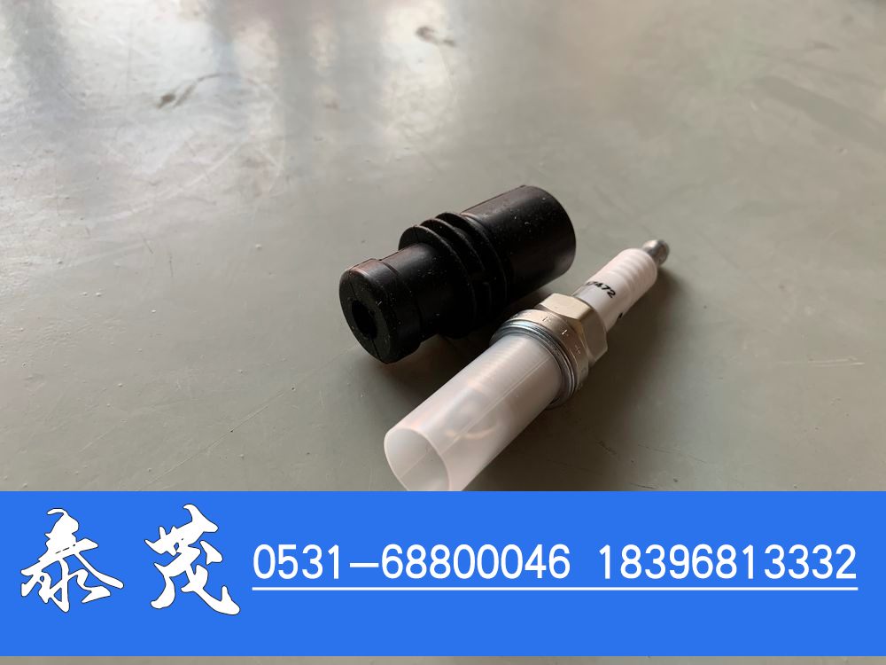 4955850,康明斯火花塞,山东泰茂汽车配件有限公司