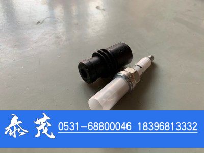 4955850,康明斯火花塞,山东泰茂汽车配件有限公司