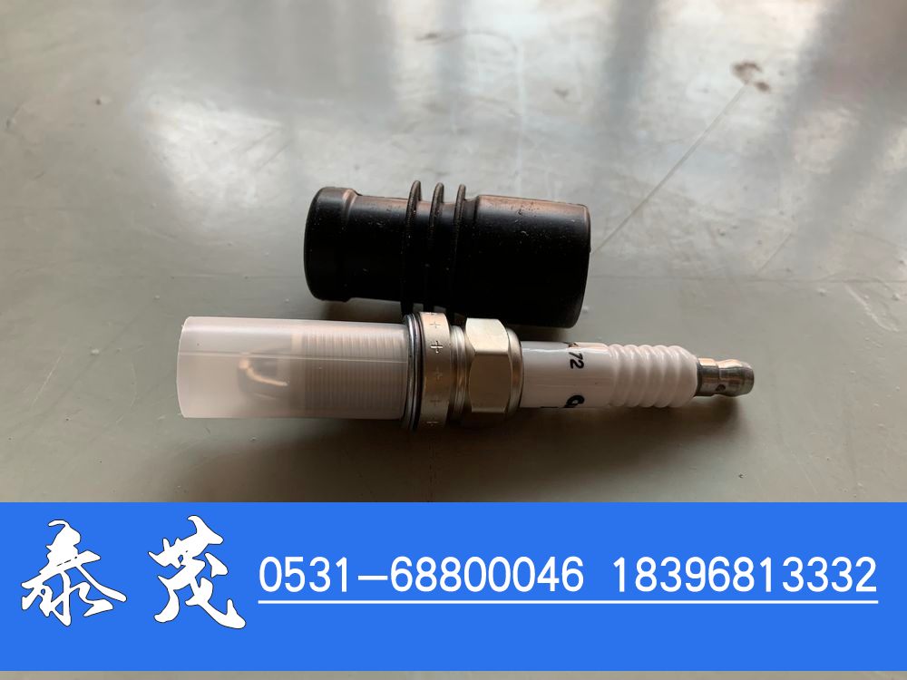 4955850,康明斯火花塞,山东泰茂汽车配件有限公司