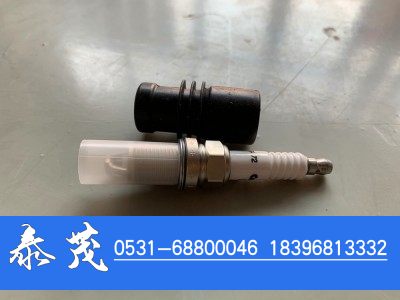 4955850,康明斯火花塞,山东泰茂汽车配件有限公司