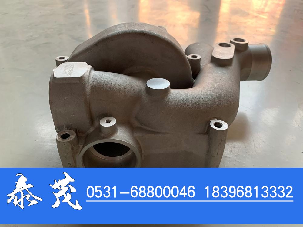 1001273037,水泵泵头,山东泰茂汽车配件有限公司