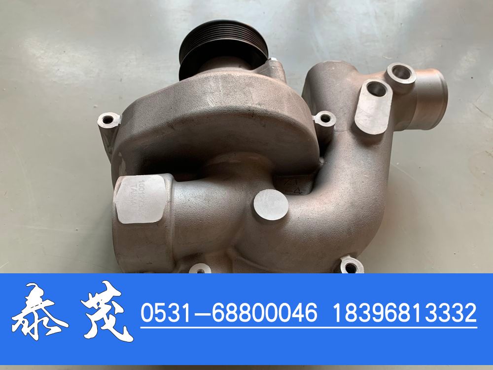 1001273037,水泵泵头,山东泰茂汽车配件有限公司