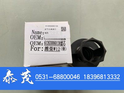 612630060138,油气分离器组件,山东泰茂汽车配件有限公司