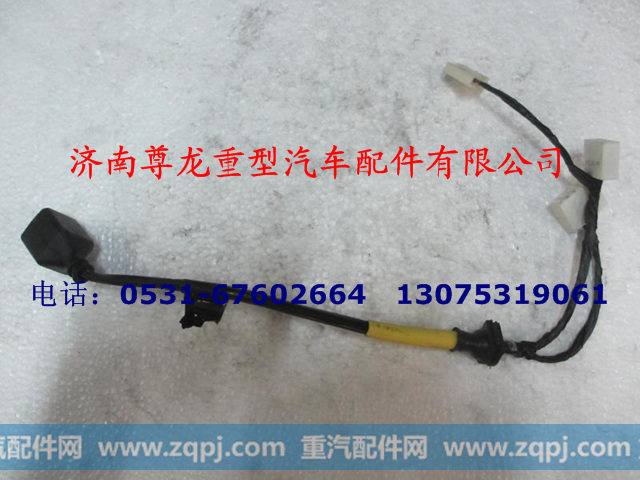 DZ9100773024,右组合后灯电线,济南尊龙(原天盛)陕汽配件销售有限公司
