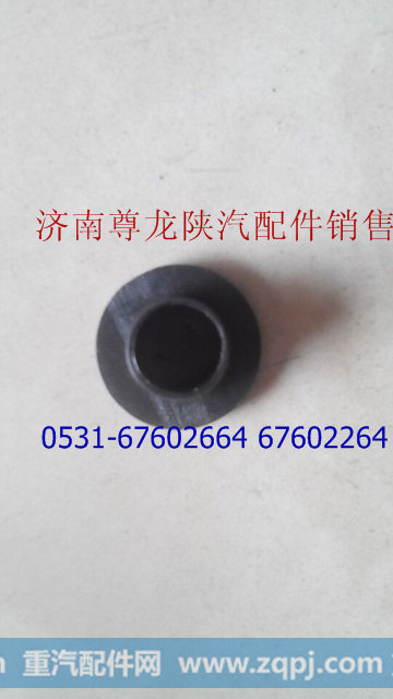 DZ14251970012,堵塞,济南尊龙(原天盛)陕汽配件销售有限公司