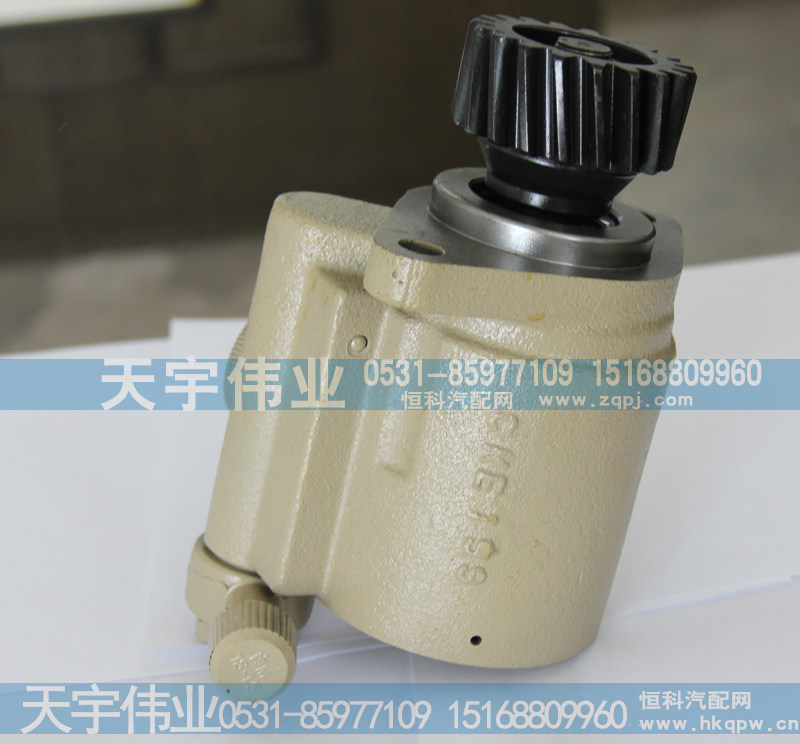 转向助力泵总成【齿轮式转向助力泵大全】