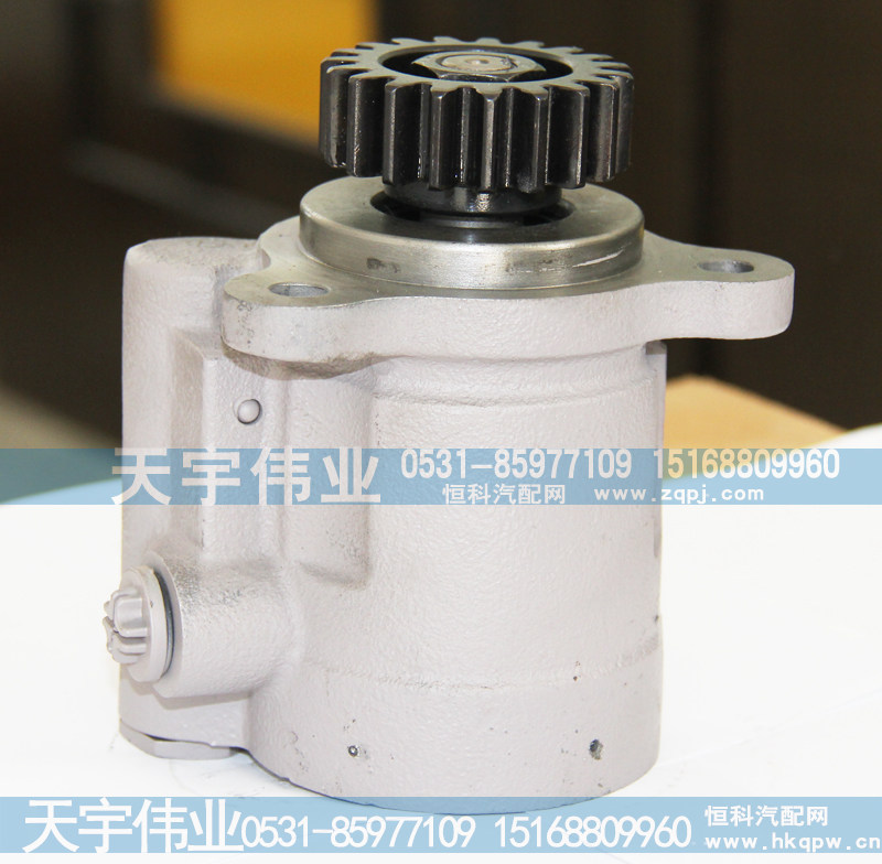 转向助力泵总成