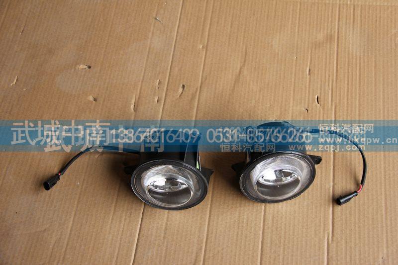 WG9925721009/10,左/右雾灯T5G,济南武城重型车外饰件厂