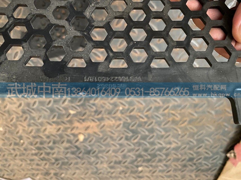 WG1662246018,右上装饰网,济南武城重型车外饰件厂