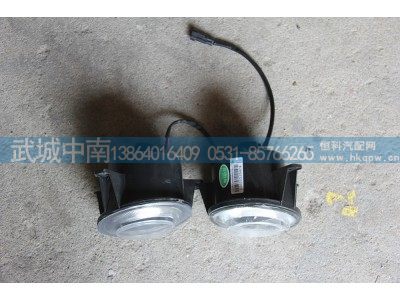WG9925721009,T5G左雾灯,济南武城重型车外饰件厂