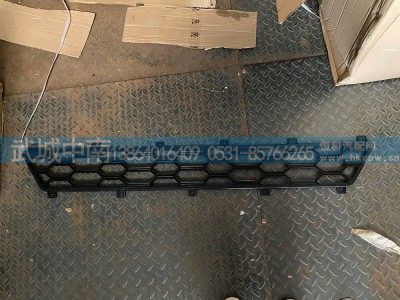 WG1662236019,,济南武城重型车外饰件厂