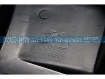 WG1662246031,左踏板,济南武城重型车外饰件厂