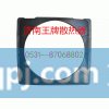 济南王牌散热器