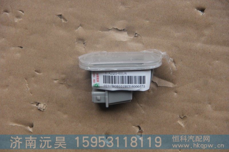 811W25203-6001-4,门灯,济南沅昊汽车零部件有限公司