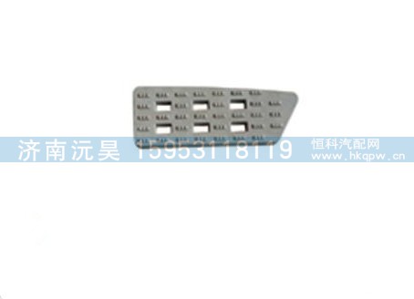 陕汽德龙F3000新款踏板台阶