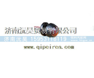 重汽豪沃HOWO高顶后雾灯
