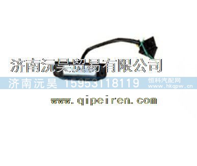 重汽金王子遮阳罩灯