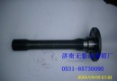 AZ9981320147 贯通轴