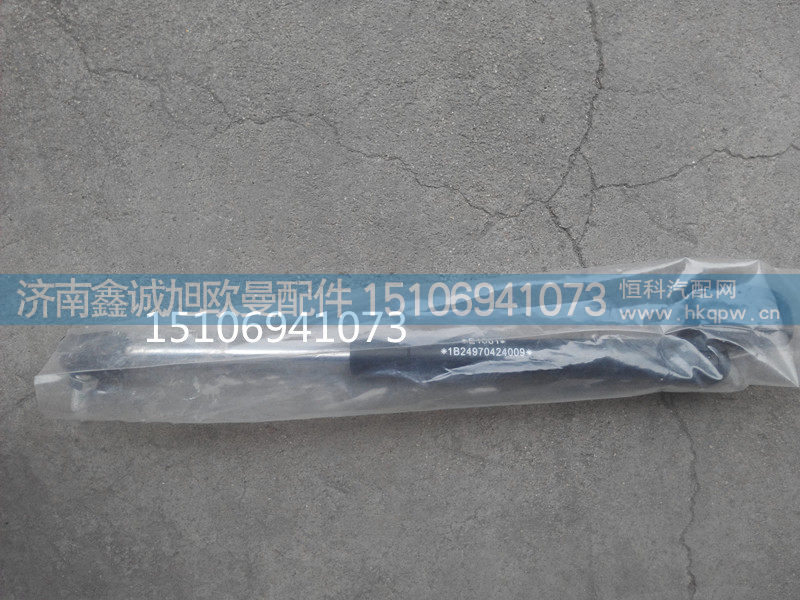 欧曼卧铺气体支撑1B24970424009