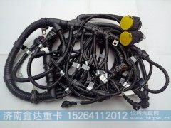 612630080146,潍柴发动机线束,济南鑫达重卡汽车配件有限公司