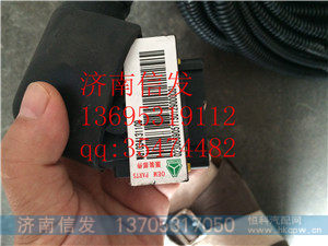 WG1034131109 SCR线束总成