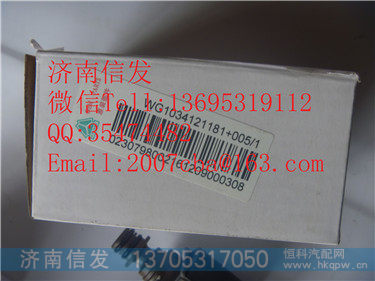 WG1034121181+005120181+006  尿素泵溶液泵  重汽豪沃国四,WG1034121181+005120181+006  尿素泵溶液泵  重汽豪沃国四,济南信发汽车配件有限公司