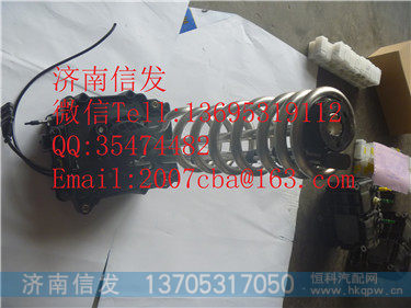 WG1034130181  尿素泵总成 电加热  重汽豪沃国五,WG1034130181  尿素泵总成 电加热  重汽豪沃国五,济南信发汽车配件有限公司