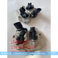 0444031022德龙碳氢喷射阀济南信发