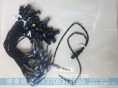 YM5000-1205130SF2,玉柴国六排温传感器一拖二,济南信发汽车配件有限公司